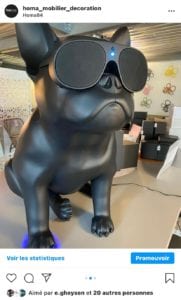 aerobull_expo_homa84