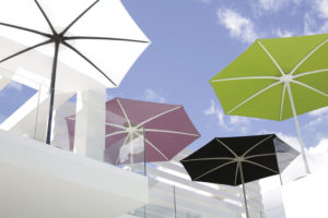 UMBRELLA palma royal botania