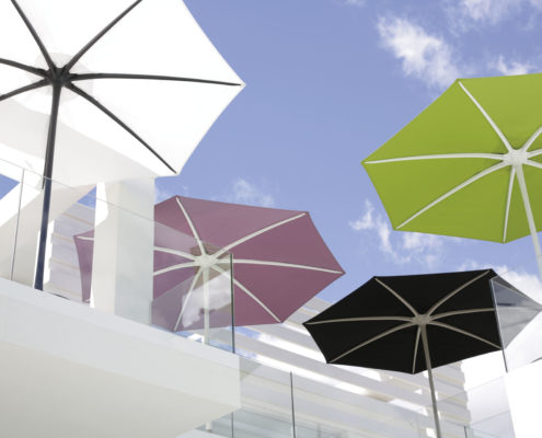 UMBRELLA palma royal botania