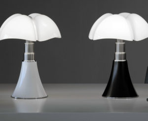 pipistrello black white