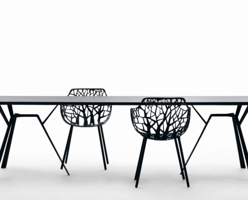 table radice_fauteuil forest