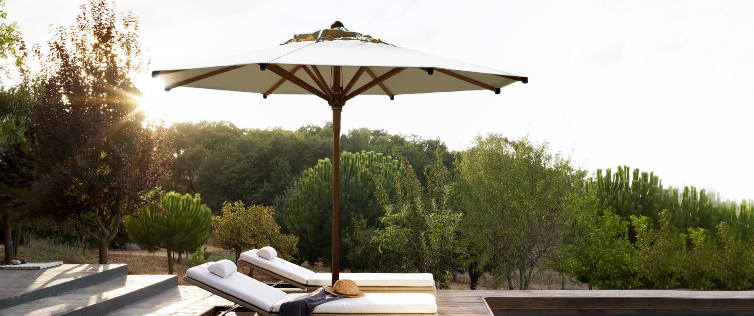 tribu_parasol eclipse teck