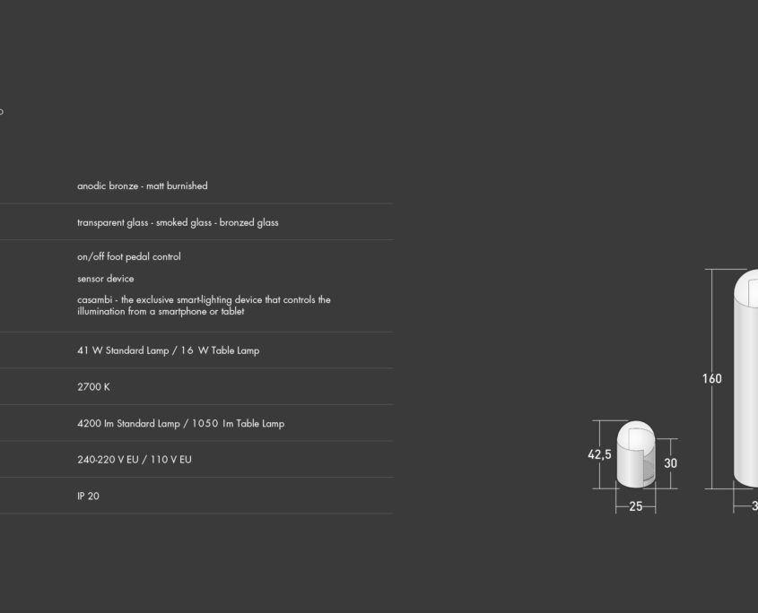 softwing_40_tech_en