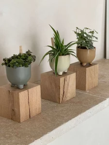 bougies_parfumées_maison_évidence