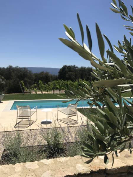 Fauteuil bas NODI de Tribù