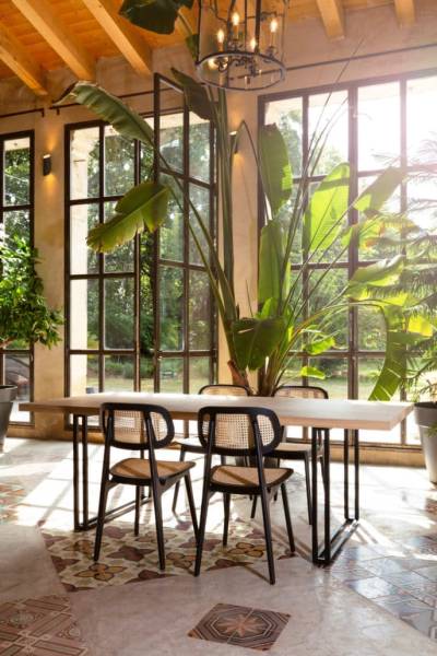 Chaise de repas Titus, la beauté du cannage naturel à découvrir chez homa