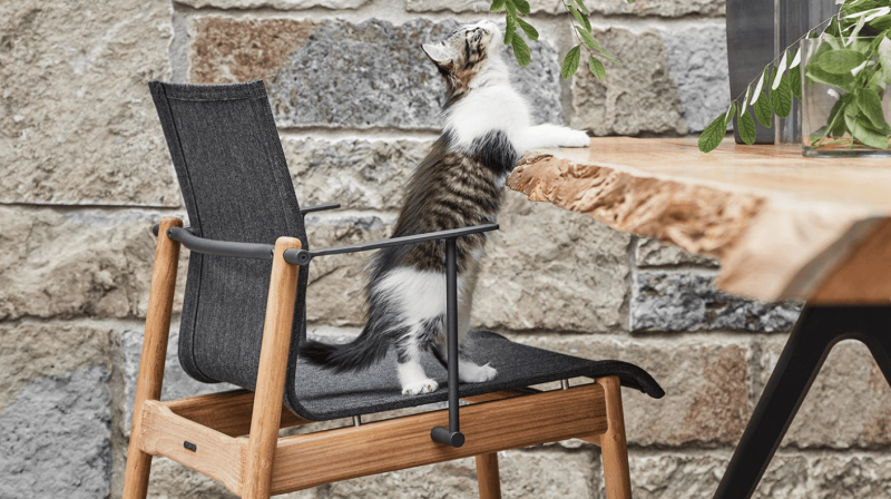 Chaise empilable Sway Gloster