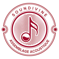 Fabricant d'enceinte design et originale en bois en forme de caisse à vin avec bonne acoustique bluetooth